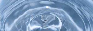 Wärme und Wasser bedeuten pure Lebensfreude